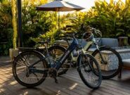 The Future of Sustainable Transportation: Electric Bikes and the Green Economy