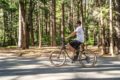 The Environmental Impact of Electric Bikes