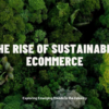 The Rise of Sustainable Products in E-Commerce