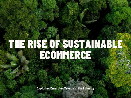 The Rise of Sustainable Products in E-Commerce